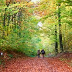 Couple walking